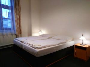 Postel nebo postele na pokoji v ubytování Hotel Praded Jesenik