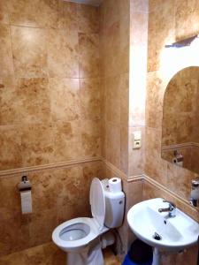 a bathroom with a toilet and a sink at Hotel Praded Jesenik in Jeseník