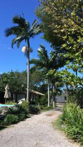 a gravel road with palm trees and a house at Casa na praia , Ar c, pisc,bosque , dunas e lagoa in Florianópolis +13 photos