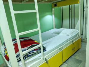 a bedroom with a bunk bed with a ladder at The Desire Hostel in New Delhi