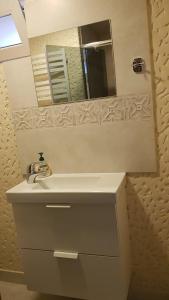 Neringa的住宿－Vila Goda & Vila Roma，一间带水槽和镜子的浴室