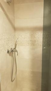a shower with a shower head in a bathroom at Vila Goda & Vila Roma in Neringa