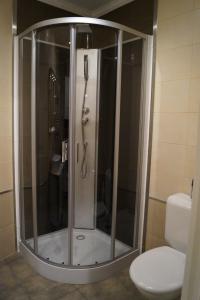 een douche in een badkamer met een toilet bij Classy apartment at European Quarter 2 in Brussel