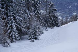 Affittacamere Saint Salod during the winter