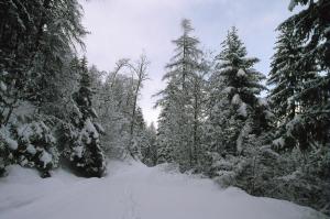 Affittacamere Saint Salod during the winter