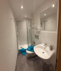 y baño con lavabo, ducha y aseo. en Ferienwohnung CaTi, en Immenstadt im Allgäu