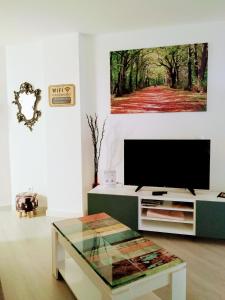 a living room with a tv and a coffee table at www Goyahospitales es in León