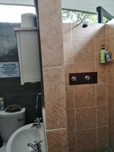 a bathroom with a shower with a toilet and a sink at Eden Cottage in White River