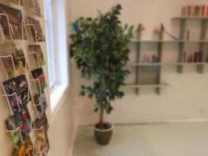 Η βιβλιοθήκη της παραθεριστικής κατοικίας