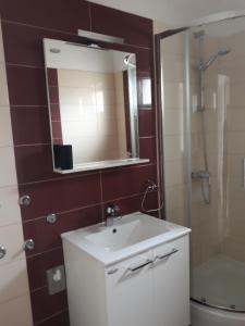 ein Bad mit einem Waschbecken, einer Dusche und einem Spiegel in der Unterkunft Apartmani Zoran in Drage