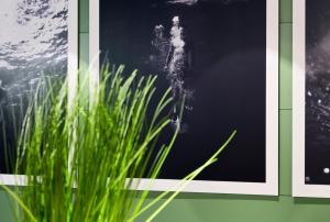 Fotografie z fotogalerie ubytování B&B HOTEL Castellón v destinaci Castellón de la Plana