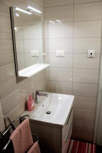 Koupelna v ubytování 238 Spodnje Gorje + 36 fotografií