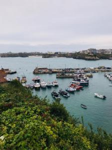 a bunch of boats are docked in a harbor at The Quies in Newquay