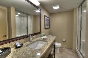 a bathroom with a toilet, sink, and mirror at Greystone Lodge on the River in Gatlinburg