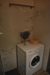 a washing machine with a plant on top of it at Chrysafenia & Leandros Downtown in Kavála