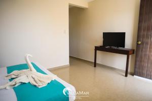 TV a/nebo společenská místnost v ubytování Hotel Villamar