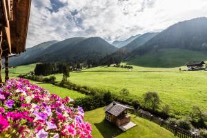 a view of a valley with mountains and flowers at Vitalpina Hotel Magdalenahof in Santa Maddalena in Casies