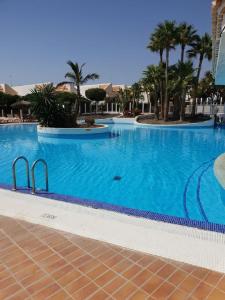 una grande piscina blu con palme sullo sfondo di The Palms Golf del Sur a San Miguel de Abona