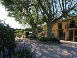 Una casa con dos árboles y flores moradas. en La bergerie de Castellan, en Verquières 37 fotos más