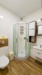 a bathroom with a shower with a toilet and a sink at Apartamenty pod zaglami Teresa Strzemkowska in Białogóra