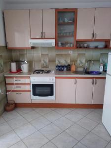 Kuchyň nebo kuchyňský kout v ubytování Apartments Soljacic