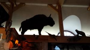 Gallery image of Bartlowizna Serce Biebrzy noclegi in Goniadz