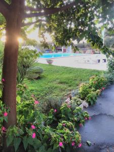 un jardín con flores rosas, un árbol y una piscina en Quinta da Perdiz Country House, en Santarém
