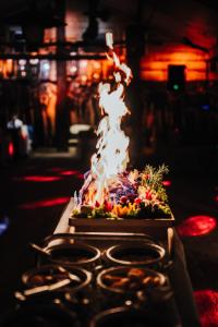 Gallery image of Bartlowizna Serce Biebrzy noclegi in Goniadz