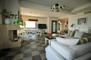 TV a/nebo společenská místnost v ubytování Amoutsa Seaside Villa