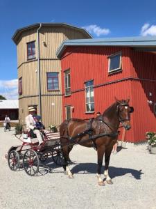 a horse pulling a carriage in front of a red building at Flyingehus Gårdshotell in Flyinge
