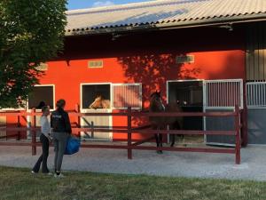 Hosté ubytování Flyingehus Gårdshotell