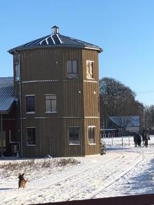 a wooden building in the snow with a dog in front at Flyingehus Gårdshotell in Flyinge
