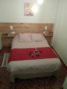 ein Schlafzimmer mit einem Bett mit einer roten Decke in der Unterkunft LAS CALAÑAS DE SETENIL in Setenil de las Bodegas