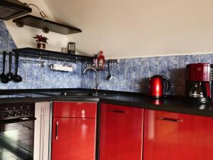 eine Küche mit roten Schränken und einem roten Waschbecken in der Unterkunft Helle moderne 52 qm Wohnung mit Balkon in Chemnitz