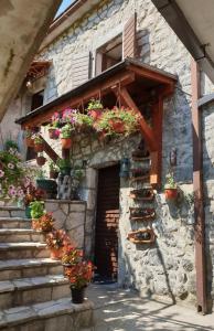 a building with potted plants on the side of it at Aleksa in Cetinje