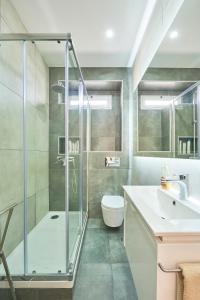 W łazience znajduje się prysznic, toaleta i umywalka. w obiekcie Pina Cozy Home w Lizbonie