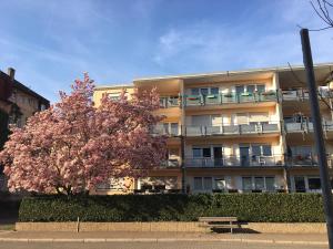 an apartment building with a tree in front of it at Stadtferienwohnung in Müllheim