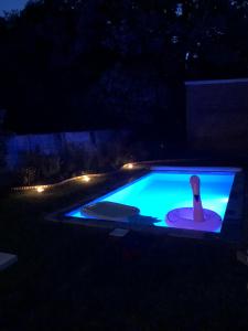 una piscina por la noche con una botella. en B & B Simme Zimme, en Brasschaat