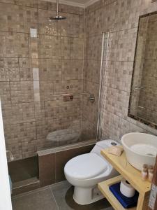 een badkamer met een douche, een toilet en een wastafel bij Lodge Nueva Elqui in Pisco Elqui