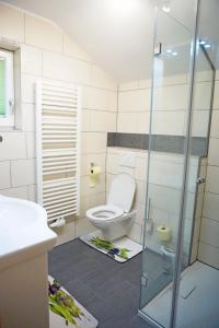 uma casa de banho com um WC e uma cabina de duche em vidro. em Ferienwohnung Wipptalblick em Navis
