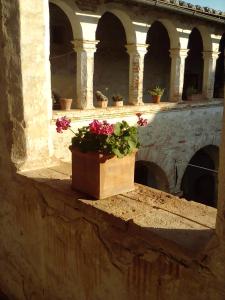una pianta in vaso seduta su un cornicione di un edificio di Il Chiostro di Paolo a Corciano