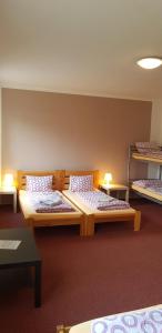 Katil atau katil-katil dalam bilik di Hotel Rohanov