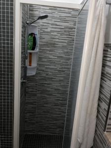 eine Dusche im Bad mit Duschvorhang in der Unterkunft Casa Sunshine - Casa Vacanze al mare in Punta Braccetto