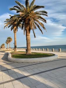 two palm trees on a sidewalk next to the ocean at la casa blu in Roccella Ionica