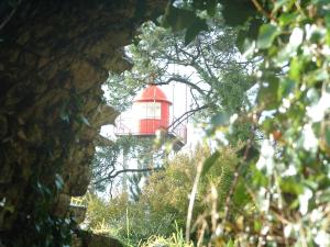 a red lighthouse in the background with a bird in the foreground at L'Imprenable vue mer in Crozon