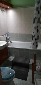 ブダペストにあるObuda Apartmentのバスルーム(バスタブ、トイレ、シンク付)