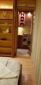 ブダペストにあるObuda Apartmentのキッチン、廊下(ベッド付)が備わります。