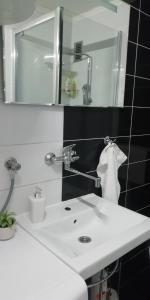 a bathroom with a white sink and a mirror at Apartment M&A in Osijek