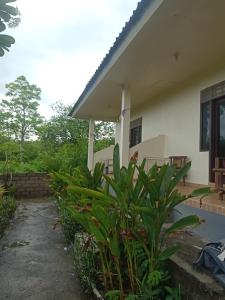 Zahrada ubytování BB Homestay Two