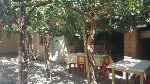 uma mesa e cadeiras sob um grupo de árvores em Posada El abuelo em Molinos
